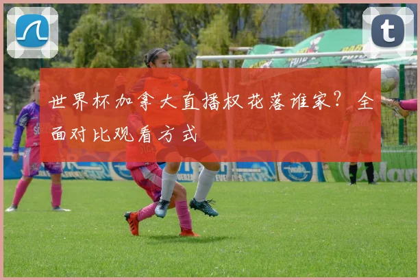 世界杯加拿大直播权花落谁家？全面对比观看方式