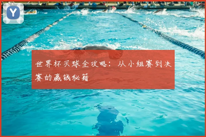 世界杯买球全攻略：从小组赛到决赛的赢钱秘籍