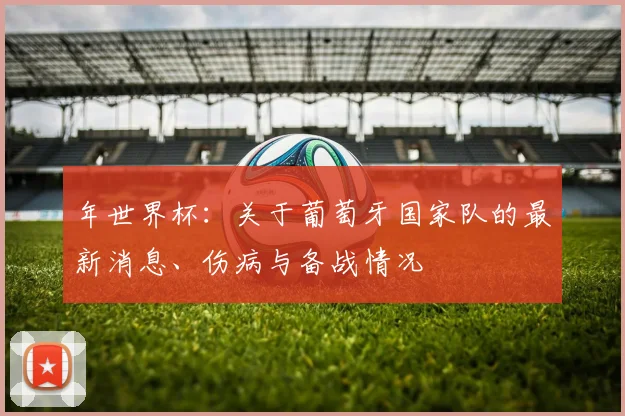 年世界杯：关于葡萄牙国家队的最新消息、伤病与备战情况