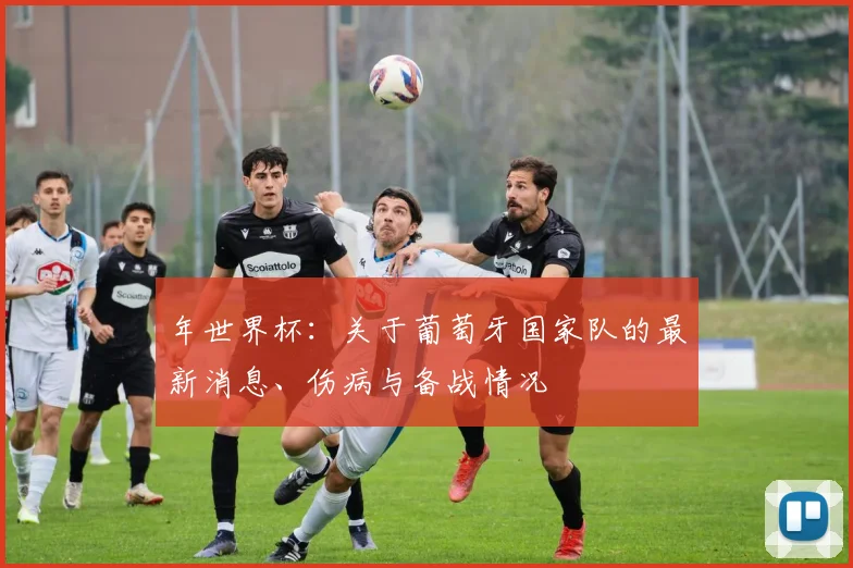年世界杯：关于葡萄牙国家队的最新消息、伤病与备战情况