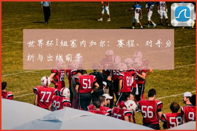 世界杯I组塞内加尔：赛程、对手分析与出线前景